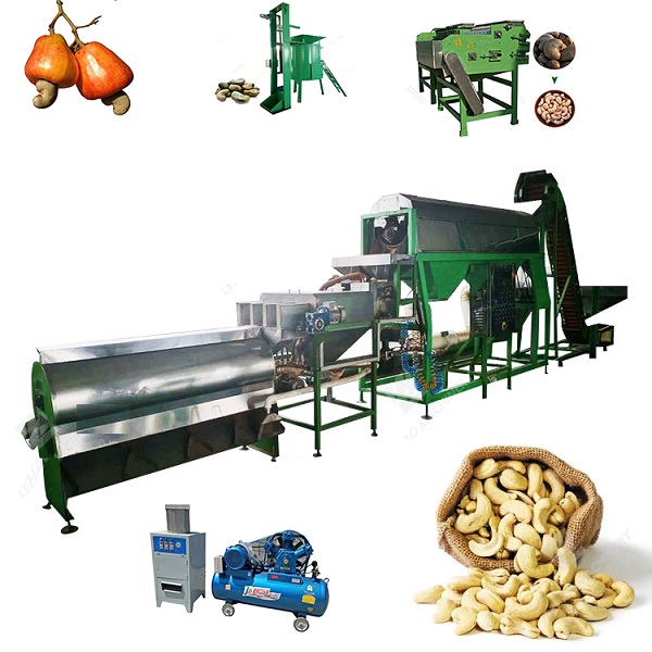 Raw cashew nut processing line
