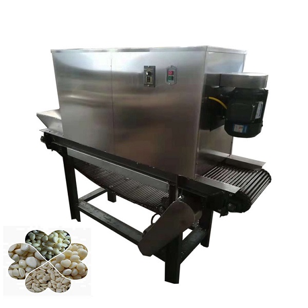 Chain type garlic peeling machine