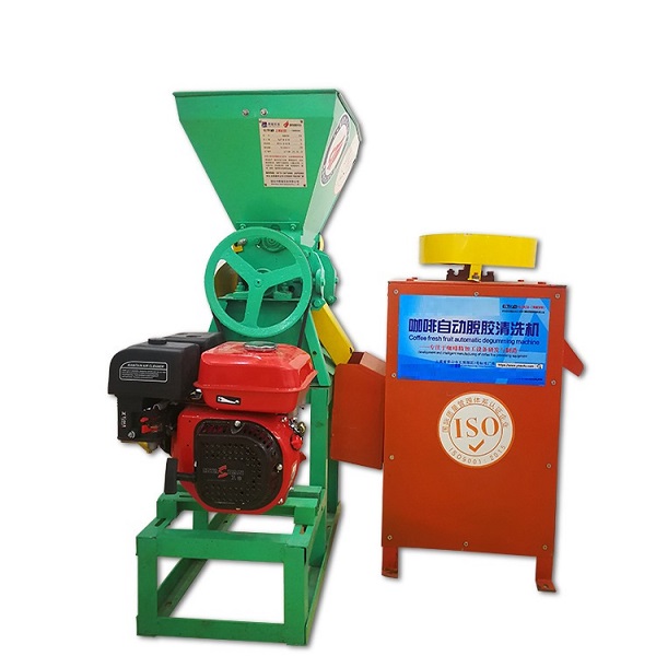 Fresh coffee bean washing peeling degumming machine