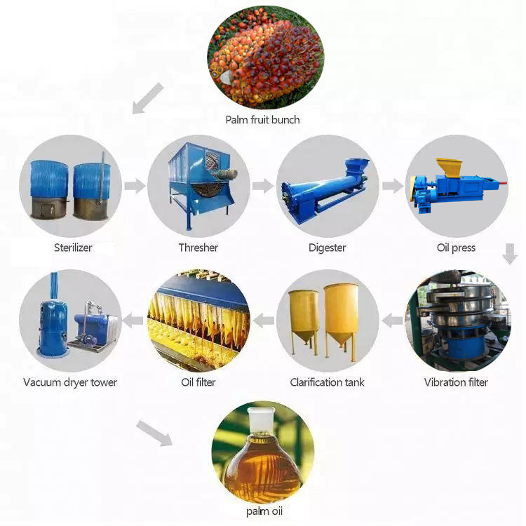 Full automatic 500kg/h palm fruit oil extractor press line