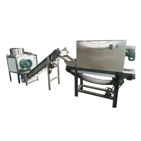 Garlic production line