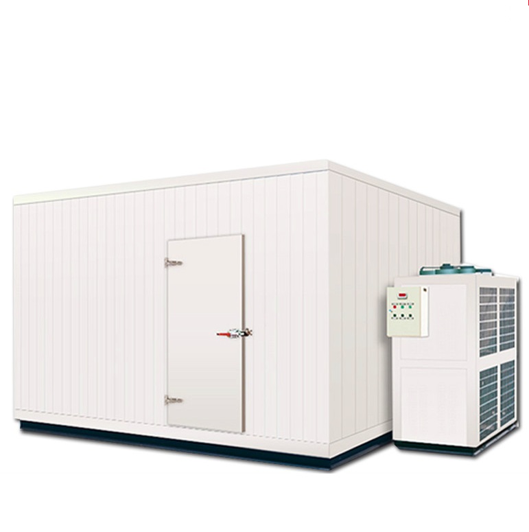 Industrial meat fruit vegetable cold storage room
